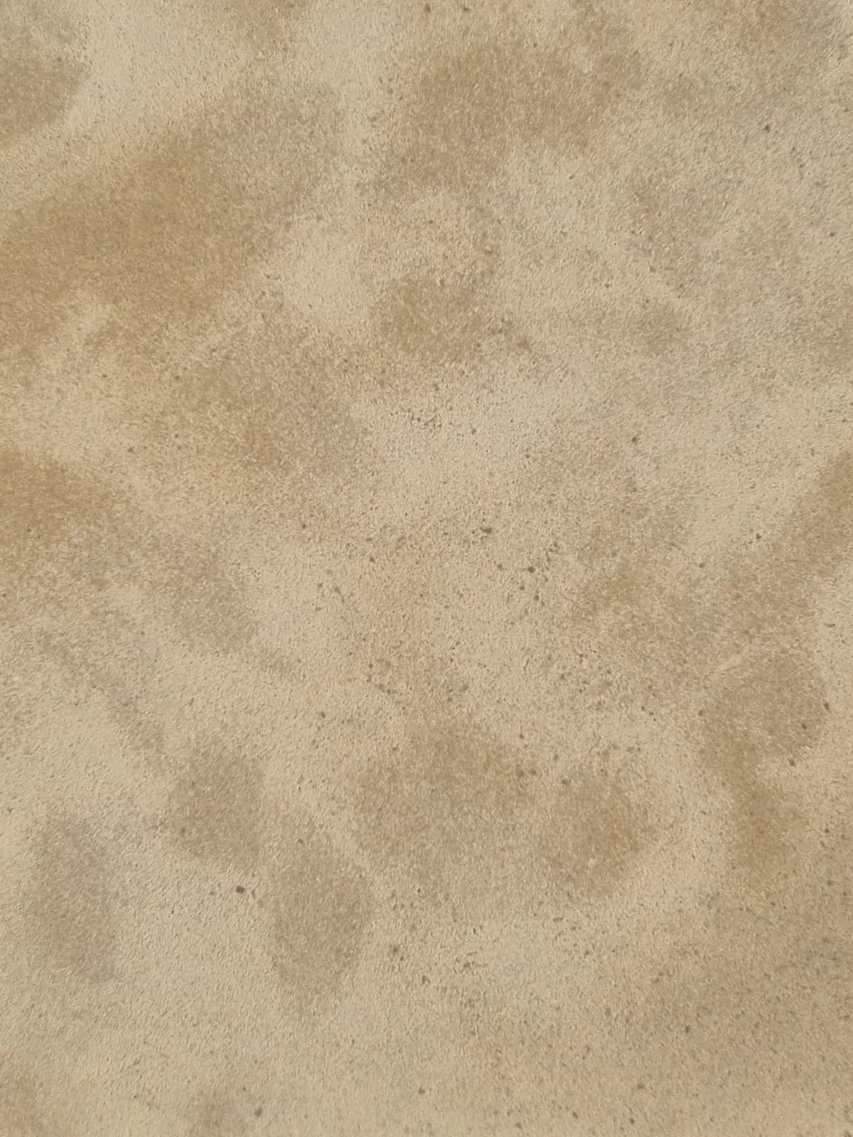 Atlas Beige Honed — Atlas Beige with Honed surface finish, image 1 of 7